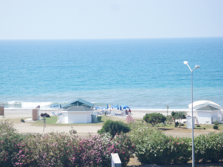 Happy Dream Beach